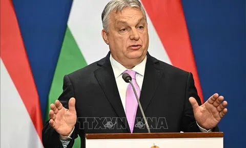 Hungary từ chối tham gia sứ mệnh quân sự của NATO tại Ukraine