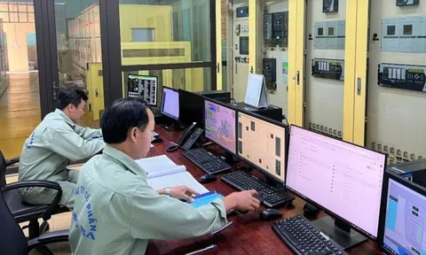Quảng Nam: Dừng vận hành 2 nhà máy thủy điện để bảo trì