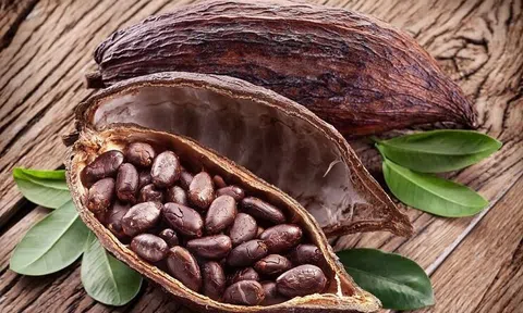 Giá cacao xuống mức thấp nhất 1 tháng qua