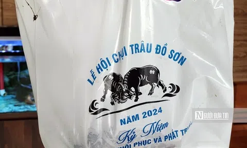 Thịt trâu chọi vô địch Lễ hội chọi trâu Đồ Sơn 2024 được bán với giá 5 triệu đồng/kg