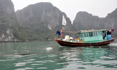 Rác trôi nổi trên vịnh Hạ Long, tổn hại hình ảnh di sản