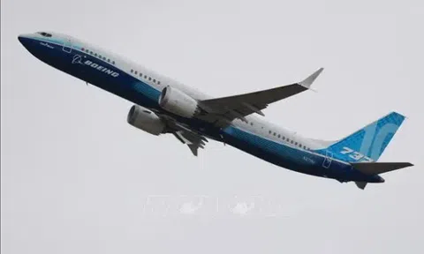 Hơn 40 hãng hàng không có thể đang sử dụng máy bay Boeing 737 lỗi hệ thống bánh lái